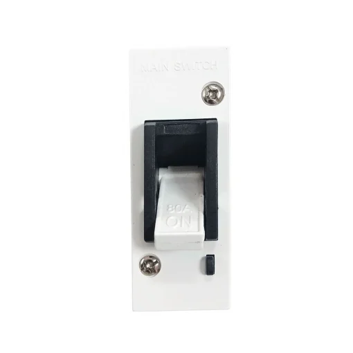 1P Main Switch 80Amp Front Wired – GMR MUHAMMAD & SONS FIJI PTELTD